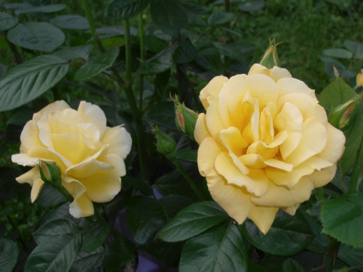 638188 (a): :1600x1200